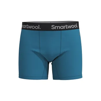 SMARTWOOL Underpants Men's 1 Pack Twilight Blue