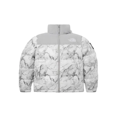 THE NORTH FACE Nuptse FW23 Down Jacket Winter Unisex Gray