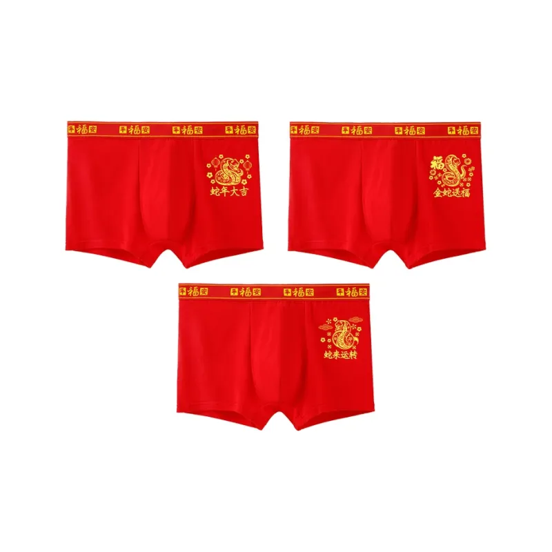 JEANSWEST Boxer Shorts Men's Combo Set-12