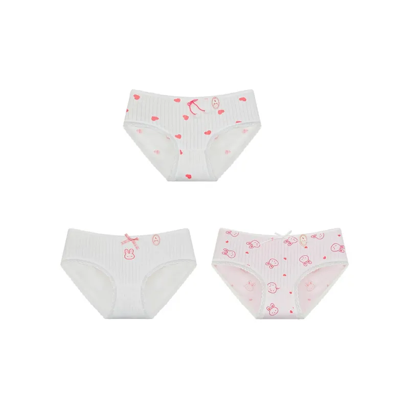 Cotton Gene Underpants Women's Combo Set-10
