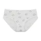 Bear (1 Pack)