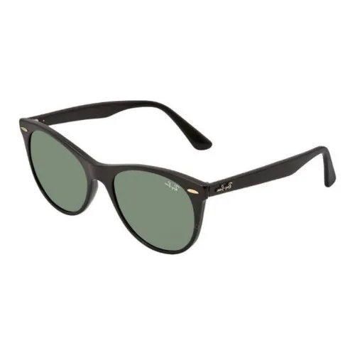 RayBan Plastic Irregular Shape Sunglasses Women's Black