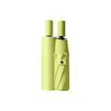 Trifold 8-Rib Automatic Tender Willow Green
