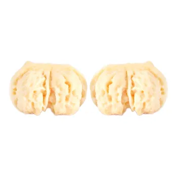 Tan Xin Ivory Nut Handlebar Piece Unisex