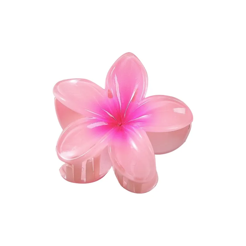 MIDNIGHT MOMENT Resin Hair Clips Women's-9