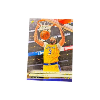 PANINI Anthony Davis Lakers On Court Collection Classic Photo Base Anthony Davis Game Worn Condition Sports Cards 1 Pc