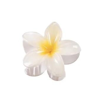 MIDNIGHT MOMENT Resin Hair Clips Women's