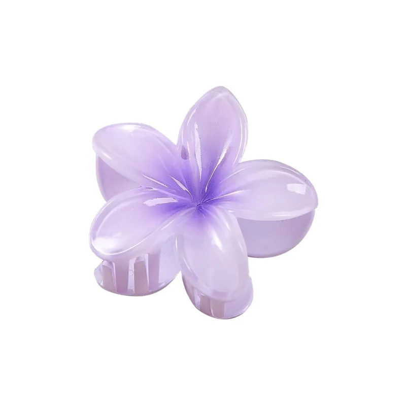 MIDNIGHT MOMENT Resin Hair Clips Women's-3