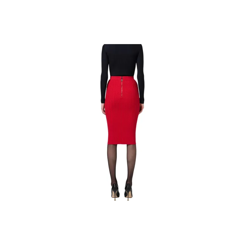 Elisabetta Franchi Chained Midi Skirt-5