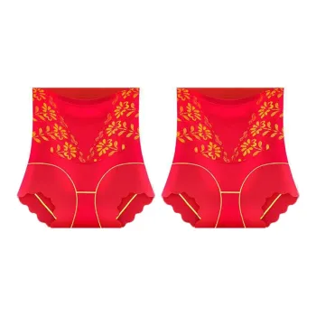YUZHAOLIN Shapewear Bottom Women's 2 Pack