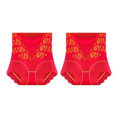 YUZHAOLIN Shapewear Bottom Women's 2 Pack