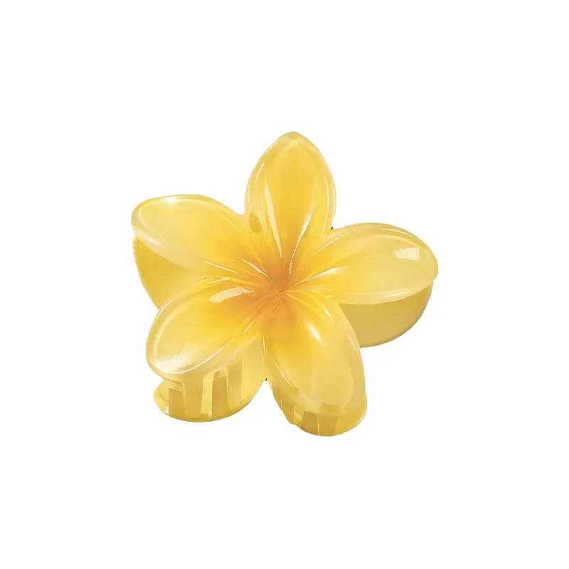 MIDNIGHT MOMENT Resin Hair Clips Women's-12