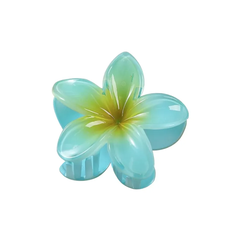 MIDNIGHT MOMENT Resin Hair Clips Women's-6