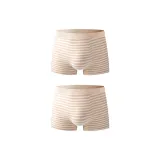 Apricot+Apricot (2 Pack)