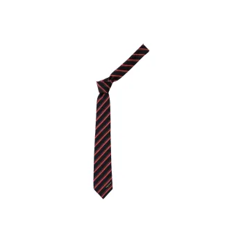 Alexander McQueen College Striped Tie