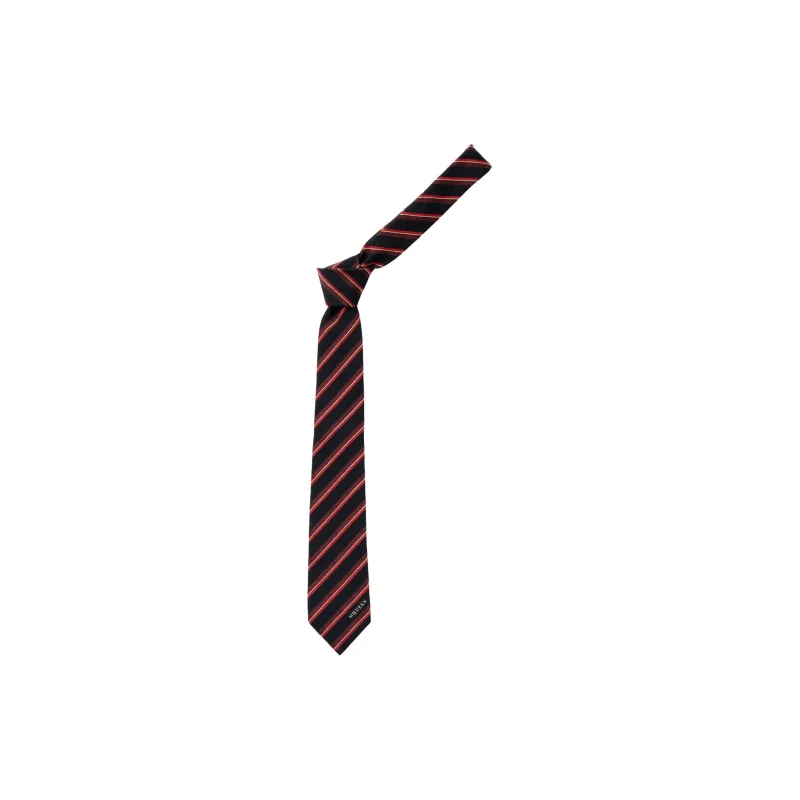 Alexander McQueen College Striped Tie-0