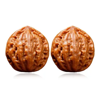 Bermuda Eyes Walnut Fine Handicraft Collectible Unisex