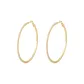 Gold Zircon Hoop Earrings 1 Pair[Tubas]eh-3392.ebF