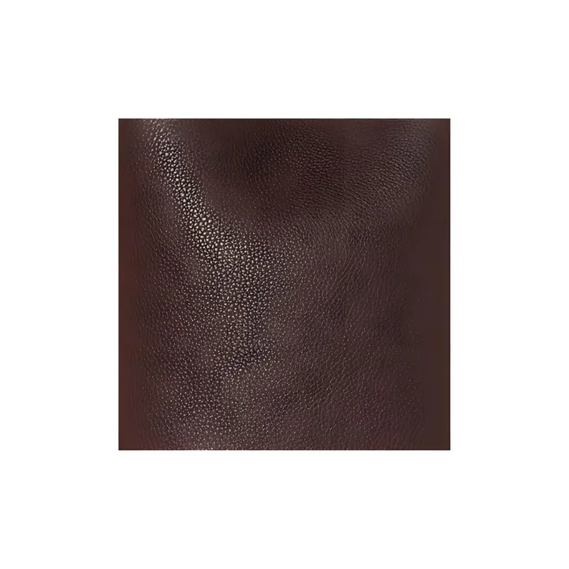 THE ROW Solid Color Grained Calfskin One Shoulder Handbags Women's Dark Red Brown-3