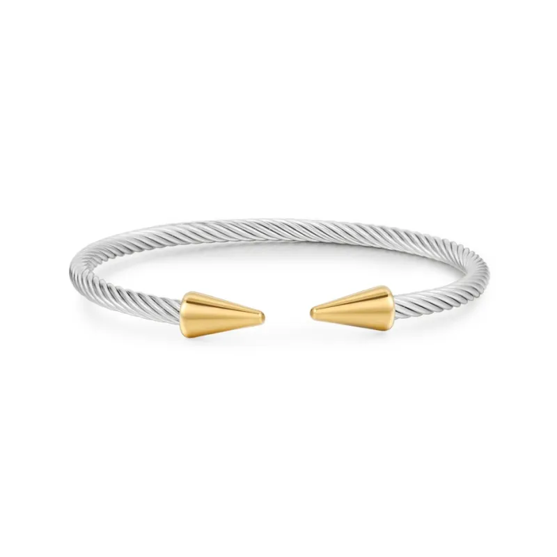 Shang Yinfu Titanium Steel Bangles Men's-3
