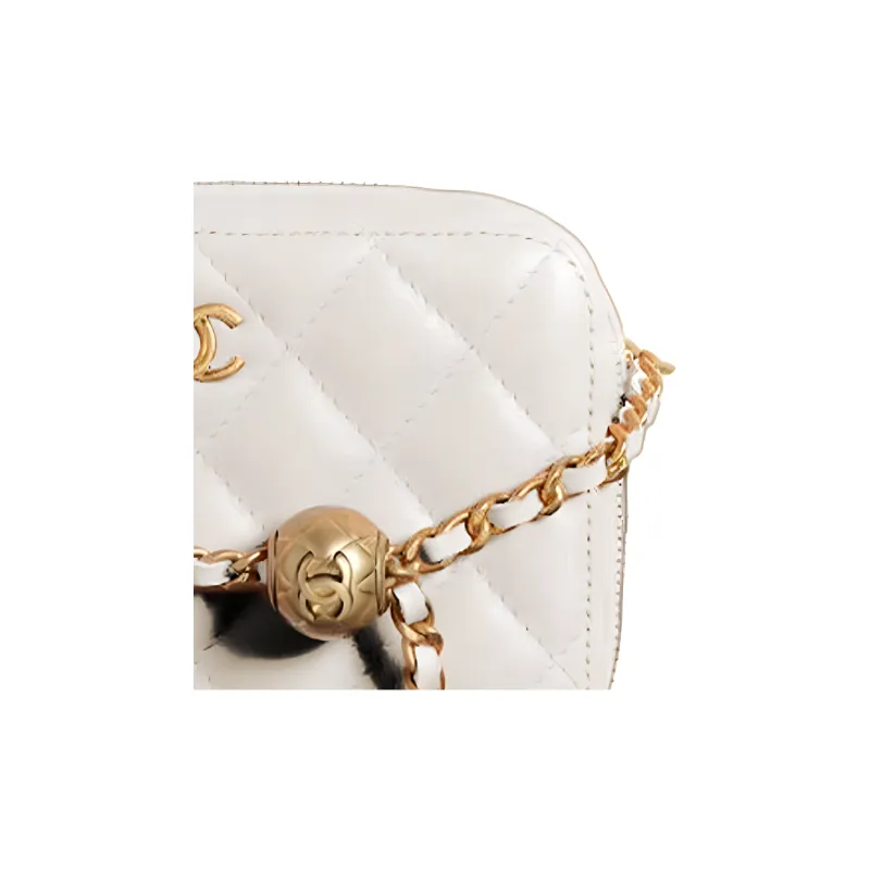 CHANEL Sheepskin Square Box Camera Bag, Rare Visitor Shoulder Bag Women's White-2