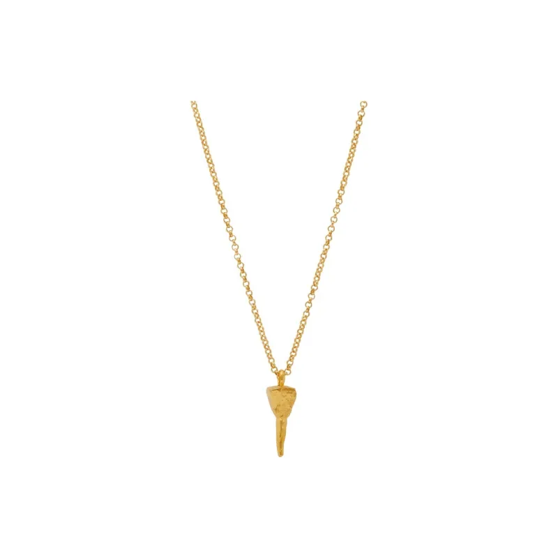 Alighieri The Mark Of The Future Necklace-1