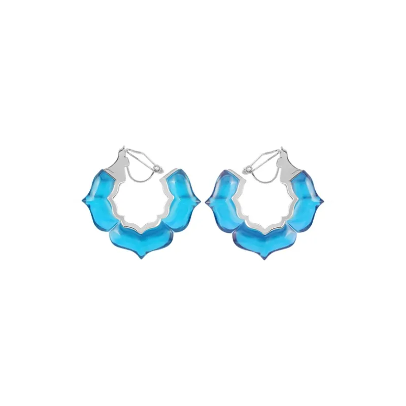 Bi disc 192 Silver Earrings Unisex-32