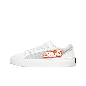 DIOR B33 Low Top Skateboard Shoes Men's White