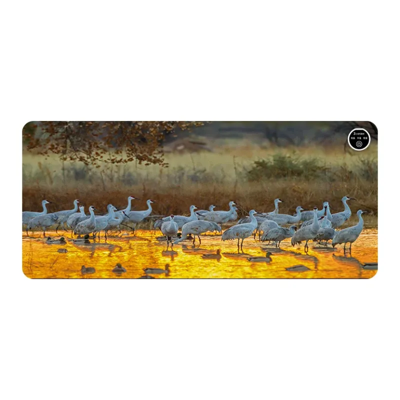 GULAN Extra Large Heating Desk Pad G49 For Students Dormitory Office Writing Mouse Pads-16