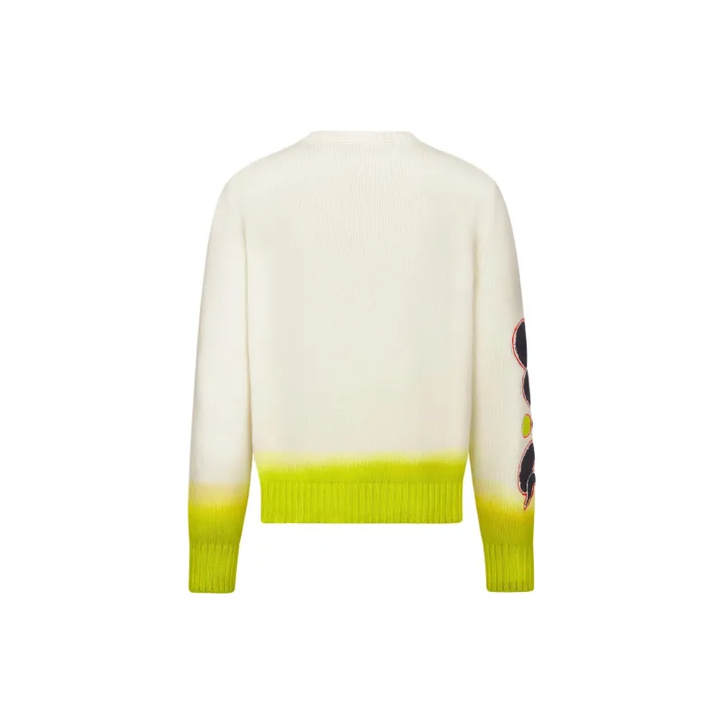 DIOR X Kaws Sweater-1