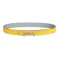 Yellow/Gray