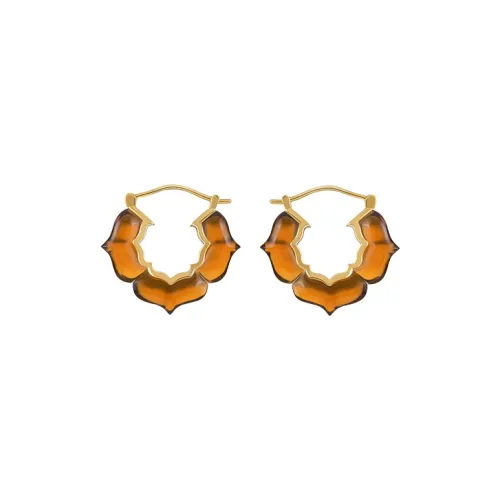 Bi disc 192 Silver Earrings Unisex