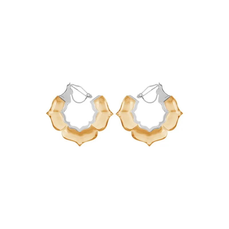 Bi disc 192 Silver Earrings Unisex-30