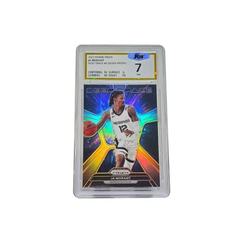 PANINI Graded Cards