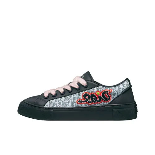 KAWS x DIOR B33 Low Top Skateboard Shoes Men's Blue White Limited Edition Numbered Edition
