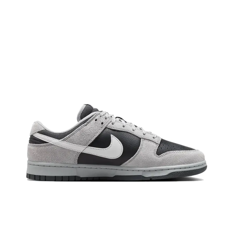 Nike Dunk Low Light Smoke Grey Anthracite-1