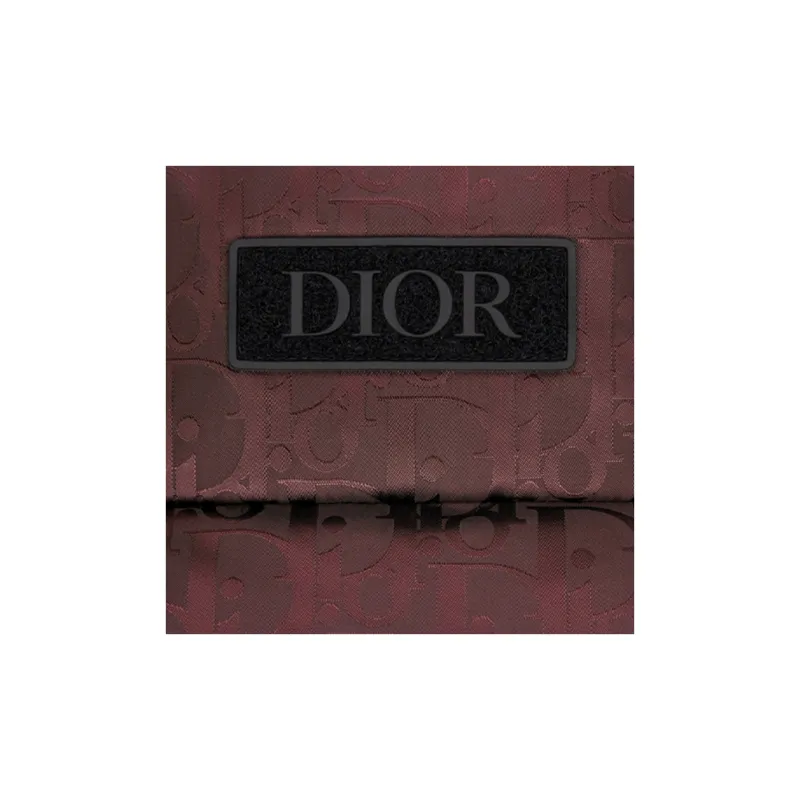DIOR Oblique Sleeveless Down Jacket-2