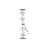 Cold Tone-Silver-Tone Buckle
