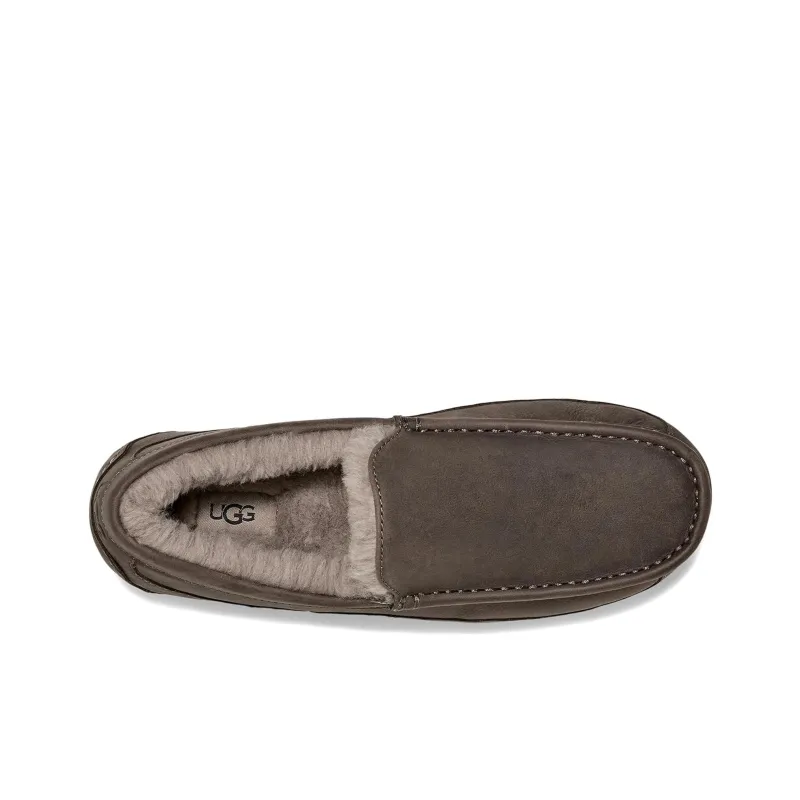 UGG Ascot Slipper Thunder Cloud-4