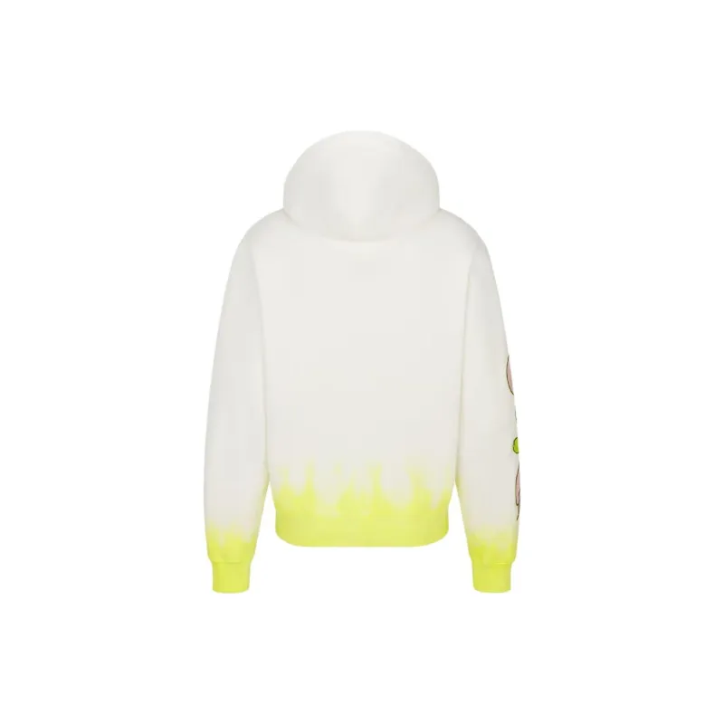 DIOR X Kaws Hooded Sweatshirt-1