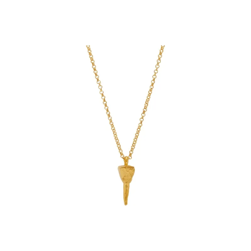 Alighieri The Mark Of The Future Necklace-0
