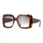 Tortoiseshell