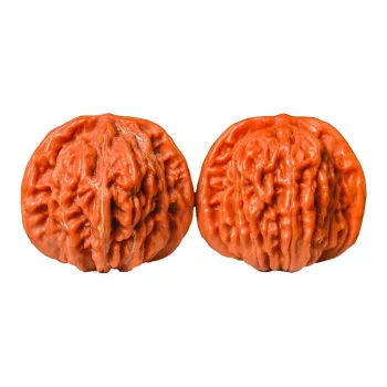 Xihe Core Creation Walnut Fine Handicraft Collectible Unisex