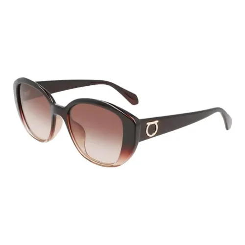 FERRAGAMO Plate Frame Cat Eye Sunglasses Women's Dark Brown