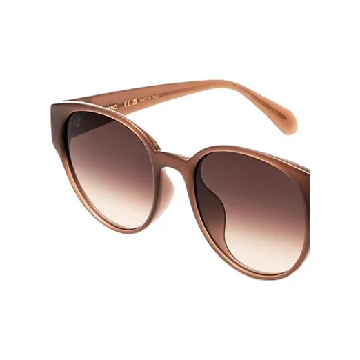 FERRAGAMO Plate Frame Round Sunglasses Unisex Brown-1