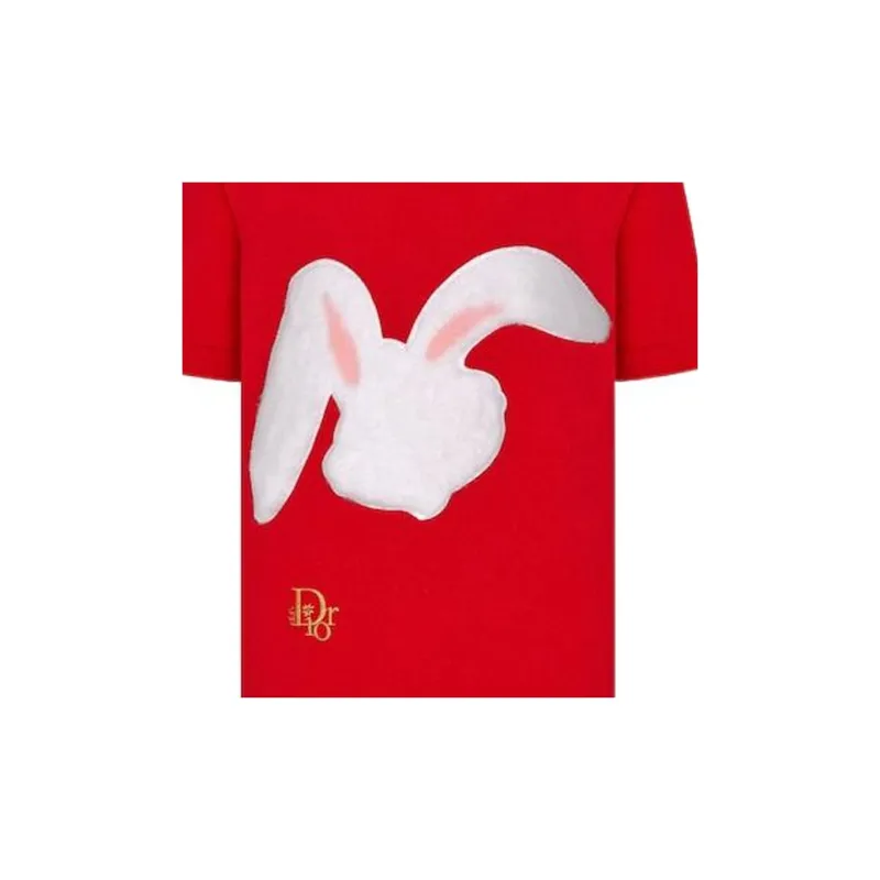 DIOR DIOR SS23 Chinese New Year Polo Shirt Men's Red-5