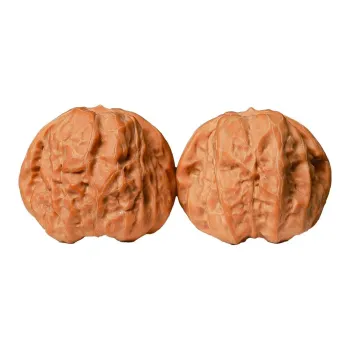 Xihe Core Creation Walnut Fine Handicraft Collectible Unisex