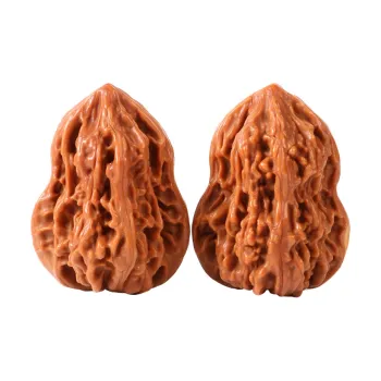 Treasure Club Text Plays Walnuts Collectible Unisex