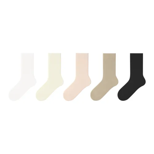 B&C.Room Mid Calf Socks Women's 5 Pack