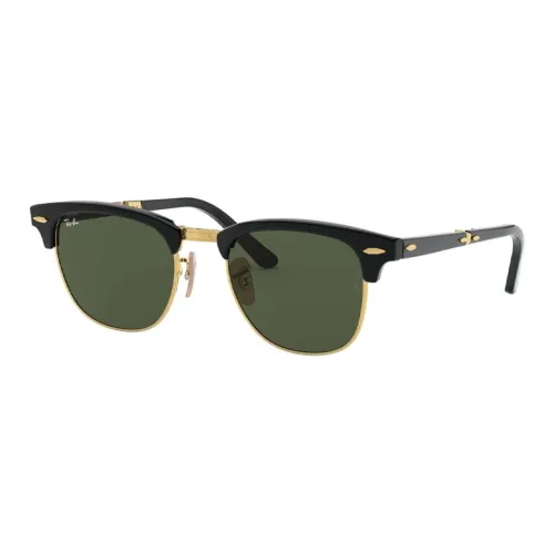 RayBan Acetate Metal Oval Sunglasses Women's Black